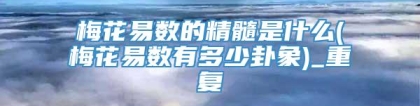 梅花易数的精髓是什么(梅花易数有多少卦象)_重复