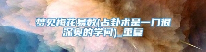 梦见梅花易数(占卦术是一门很深奥的学问)_重复