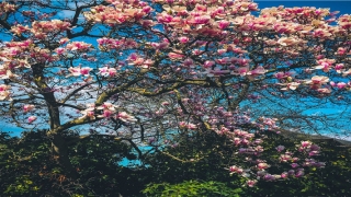 92年剑锋金命女好不好(作家贾清召十年写书经历)