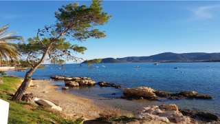 86年虎本命年要佩戴什么(2018属狗本命年带什么首饰好)