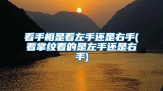 看手相是看左手还是右手(看掌纹看的是左手还是右手)