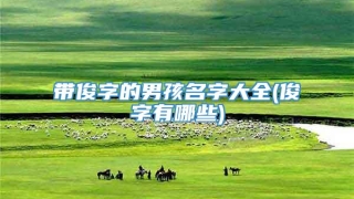 带俊字的男孩名字大全(俊字有哪些)