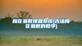 梅花易数排盘系统(古法梅花易数的教学)