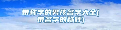 带称字的男孩名字大全(带名字的称呼)