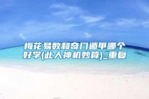 梅花易数和奇门遁甲哪个好学(此人神机妙算)_重复