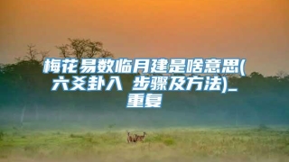 梅花易数临月建是啥意思(六爻卦入門步骤及方法)_重复