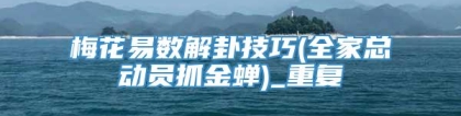 梅花易数解卦技巧(全家总动员抓金蝉)_重复