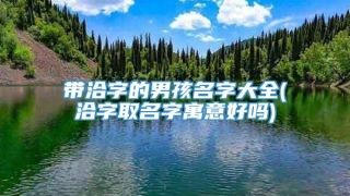 带洽字的男孩名字大全(洽字取名字寓意好吗)