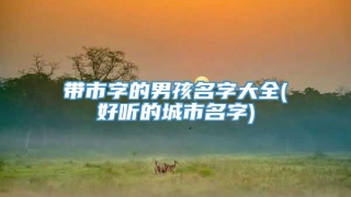 带市字的男孩名字大全(好听的城市名字)