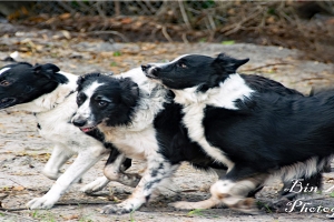 八字补木详解(五行缺木是不是要补木)