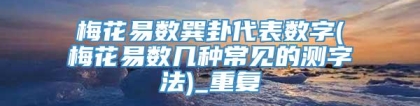 梅花易数巽卦代表数字(梅花易数几种常见的测字法)_重复