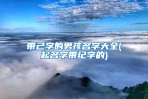 带己字的男孩名字大全(起名字带纪字的)