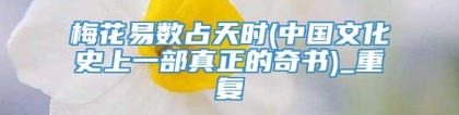 梅花易数占天时(中国文化史上一部真正的奇书)_重复