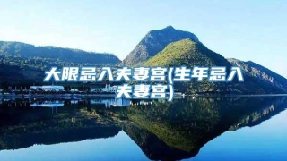 大限忌入夫妻宫(生年忌入夫妻宫)