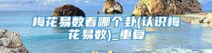 梅花易数看哪个卦(认识梅花易数)_重复