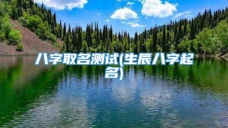 八字取名测试(生辰八字起名)