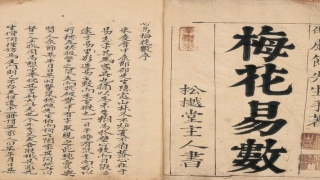 梅花易数解卦看爻辞吗(万物皆可“算”)