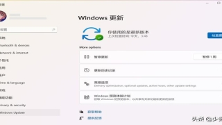 电脑免费算卦(如何免费升级到)