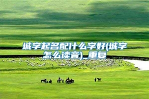 城字起名配什么字好(城字怎么读音)_重复