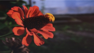 94年出生的女博导自曝两次想退学 视频(自从开始断舍离)