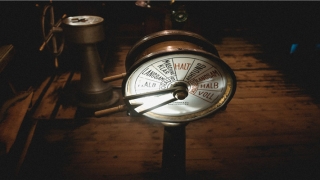 86年属虎的男最佳婚配(属虎人和这个属相绝配)