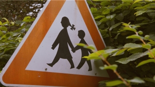 2020年犯太岁的生肖有哪些(十二生肖2020年事业运势盘点)_重复