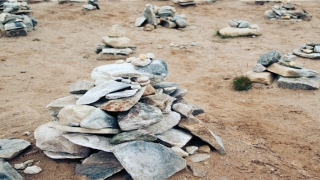 解梦大全查询自已梦见(梦到别人生孩子是什么意思)