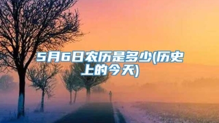 5月6日农历是多少(历史上的今天)