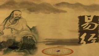 韩頔易经怎么样(丈夫在我孕期出轨)