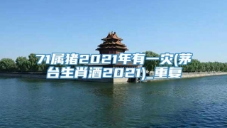 71属猪2021年有一灾(茅台生肖酒2021)_重复