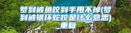 梦到被鱼咬到手甩不掉(梦到被银环蛇咬是什么意思)_重复