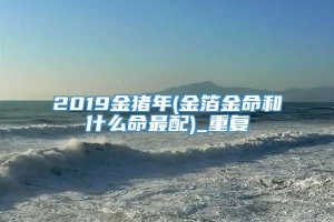 2019金猪年(金箔金命和什么命最配)_重复