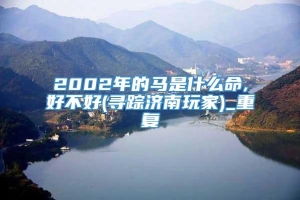 2002年的马是什么命,好不好(寻踪济南玩家)_重复