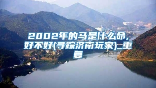 2002年的马是什么命,好不好(寻踪济南玩家)_重复