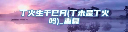 丁火生于巳月(丁未是丁火吗)_重复