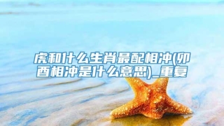 虎和什么生肖最配相冲(卯酉相冲是什么意思)_重复