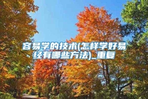 容易学的技术(怎样学好易经有哪些方法)_重复