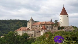 八字松柏木命是什么意思(柏木有什么风水说法)