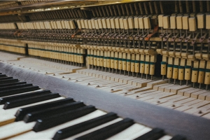 男虎女羊婚配(虎与羊相爱的故事)