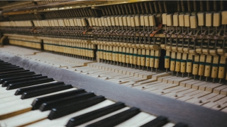 男虎女羊婚配(虎与羊相爱的故事)