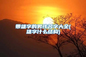 带雄字的男孩名字大全(雄字什么结构)