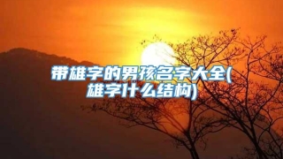 带雄字的男孩名字大全(雄字什么结构)