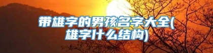 带雄字的男孩名字大全(雄字什么结构)