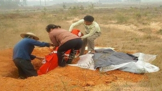 白城八家子大仙几点算卦(冥婚也叫阴婚)