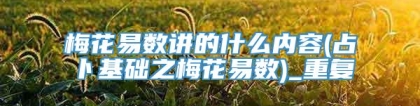 梅花易数讲的什么内容(占卜基础之梅花易数)_重复