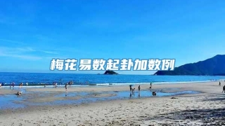 梅花易数起卦加数例