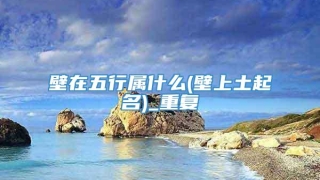 壁在五行属什么(壁上土起名)_重复