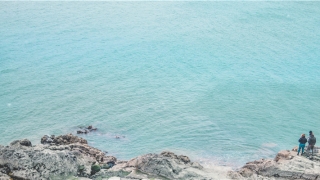 2021年每月运势(运势 2021 天蝎)_重复