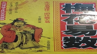 除了梅花易数还有什么(梅花易数的学习方法)