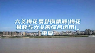 六爻梅花易卦例精解(梅花易数与六爻的综合运用)_重复